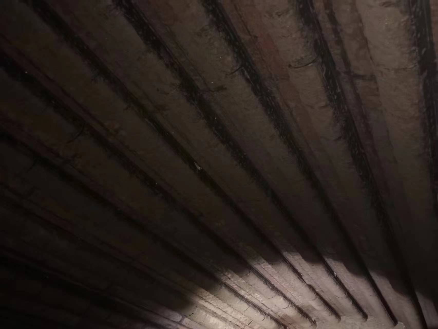 微信图片_20231016162735